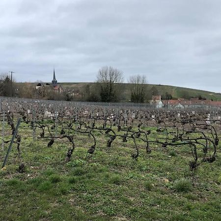 에토그 Le Petit Ecrin Champenois 아파트 외부 사진