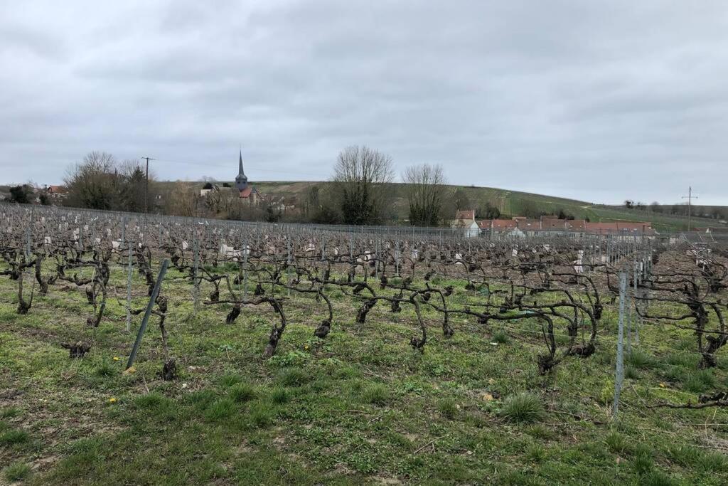 에토그 Le Petit Ecrin Champenois 아파트 외부 사진